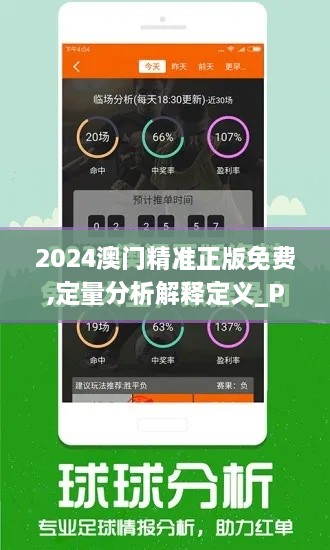 2024澳門精準(zhǔn)正版免費,定量分析解釋定義_Premium6.465