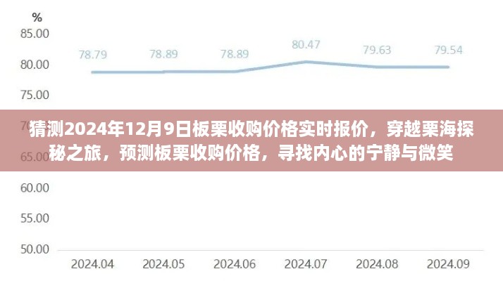 穿越栗海探秘之旅，預(yù)測板栗收購價(jià)格，探尋內(nèi)心寧靜微笑與未來報(bào)價(jià)動(dòng)態(tài)（實(shí)時(shí)更新）