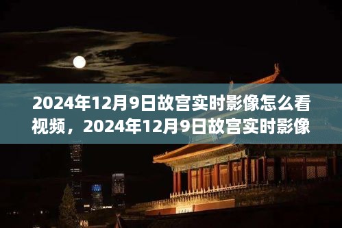 2024年12月10日 第20頁(yè)