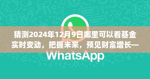 見證未來財(cái)富增長，把握基金實(shí)時(shí)變動(dòng)之旅，2024年12月9日揭曉！