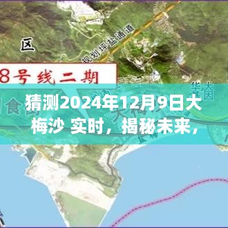 揭秘大梅沙海域未來生態(tài)與環(huán)境展望，2024年12月9日海洋生態(tài)實(shí)時(shí)揭秘