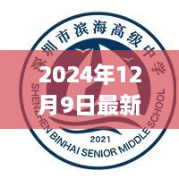 濱海最新疫情動態(tài)，實時更新與觀點碰撞（2024年12月9日）