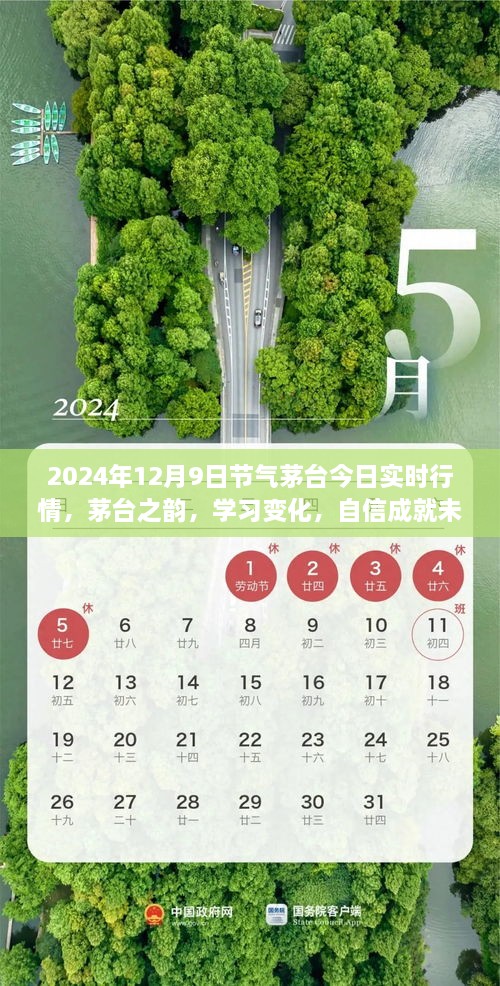 茅臺(tái)之韻，2024年12月9日實(shí)時(shí)行情啟示錄，洞悉變化，自信筑夢(mèng)未來(lái)