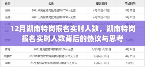 湖南特崗報名實時人數(shù)熱議與思考，背后的真相與啟示
