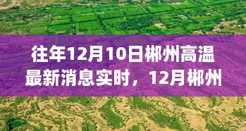 尋找內(nèi)心平靜的旅程，郴州高溫下的綠色奇跡與實(shí)時(shí)消息