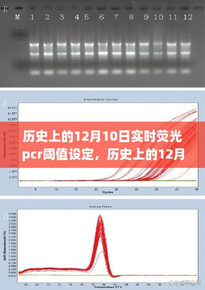 歷史上的12月10日，實時熒光PCR閾值設(shè)定的探索之旅