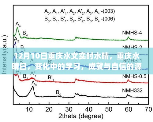 重慶水晴日下的學(xué)習(xí)成就與自信之源，變化中的探索與成長之路