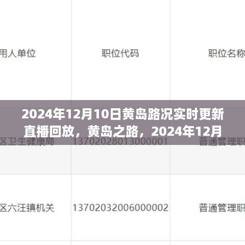 2024年12月10日黃島路況實錄與深度解讀，實時更新直播回放