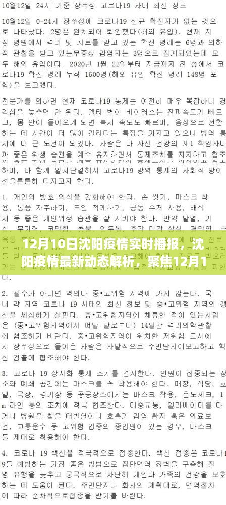 沈陽疫情最新動態(tài)解析，聚焦實時播報與個人觀點（12月10日更新）