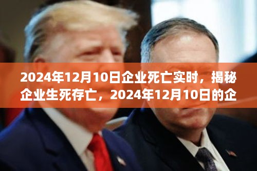 揭秘企業(yè)生死存亡，企業(yè)死亡實(shí)時(shí)真相揭秘（2024年12月10日）