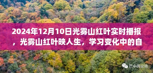 光霧山紅葉映人生，自信與成就之旅的實時播報（2024年12月）