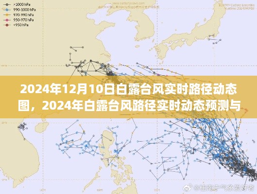 2024年白露臺風(fēng)實時路徑動態(tài)圖及預(yù)測影響分析