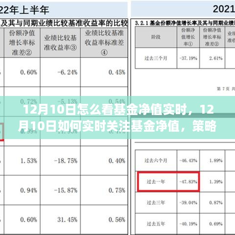 12月10日基金凈值實(shí)時(shí)關(guān)注策略與技巧，如何掌握基金動(dòng)態(tài)