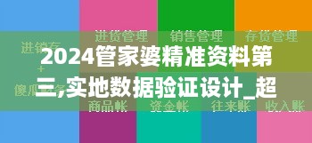 2024管家婆精準資料第三,實地數(shù)據驗證設計_超級版8.927