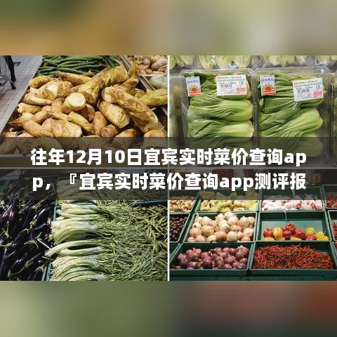 宜賓實時菜價查詢app歷年功能深度解析與用戶體驗洞察測評報告，宜賓歷年菜價變遷一覽無余！