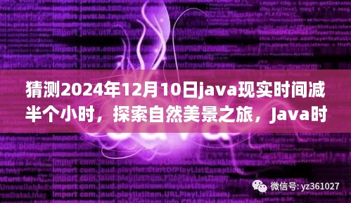 2024年12月12日 第56頁