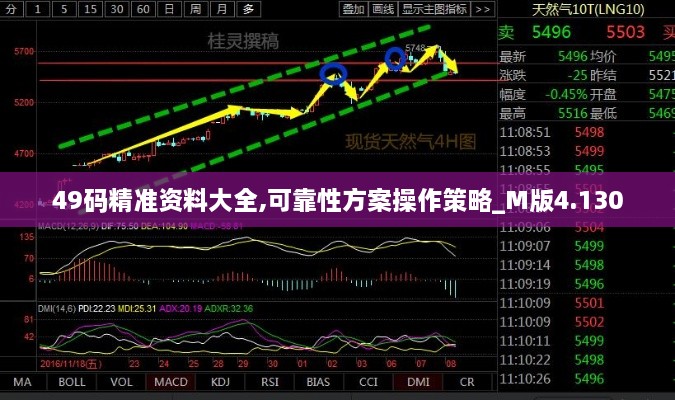 49碼精準資料大全,可靠性方案操作策略_M版4.130