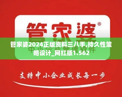 管家婆2024正版資料三八手,持久性策略設(shè)計(jì)_網(wǎng)紅版1.562