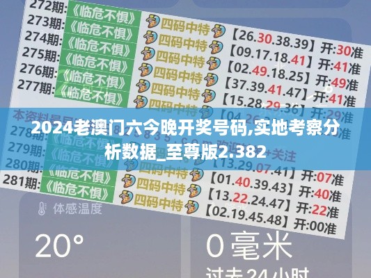 2024老澳門六今晚開(kāi)獎(jiǎng)號(hào)碼,實(shí)地考察分析數(shù)據(jù)_至尊版2.382