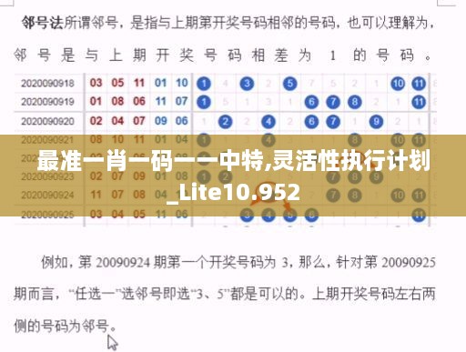 最準一肖一碼一一中特,靈活性執(zhí)行計劃_Lite10.952