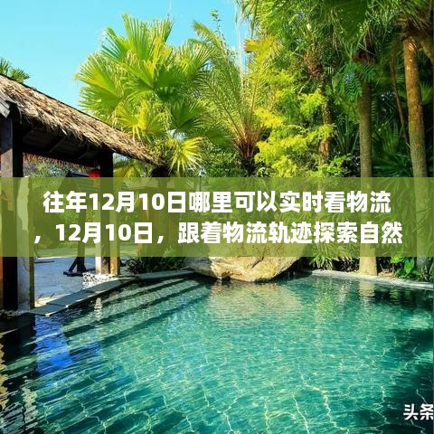 12月10日物流追蹤之旅，自然懷抱的心靈探索之旅