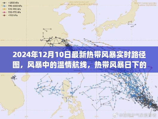 2024年熱帶風暴實時路徑圖，風暴中的溫情旅程與特殊旅程揭秘