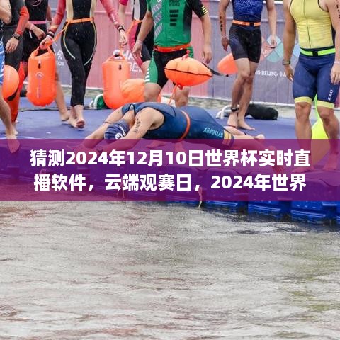 云端觀賽日，世界杯與直播軟件的奇妙之旅 2024年世界杯預測直播體驗