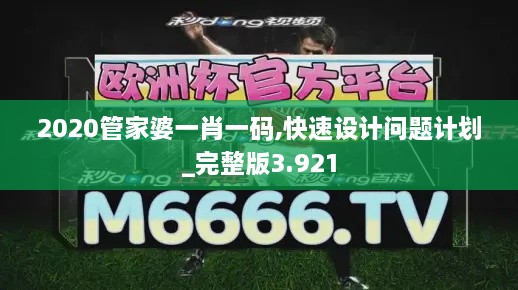 2020管家婆一肖一碼,快速設計問題計劃_完整版3.921