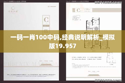 一碼一肖100中碼,經(jīng)典說明解析_模擬版19.957