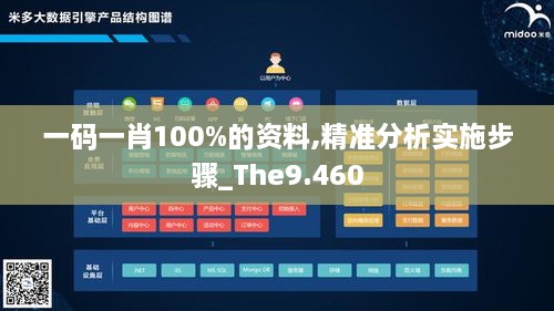 一碼一肖100%的資料,精準分析實施步驟_The9.460