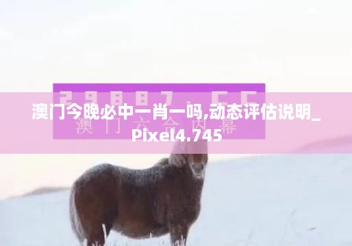 澳門今晚必中一肖一嗎,動態(tài)評估說明_Pixel4.745