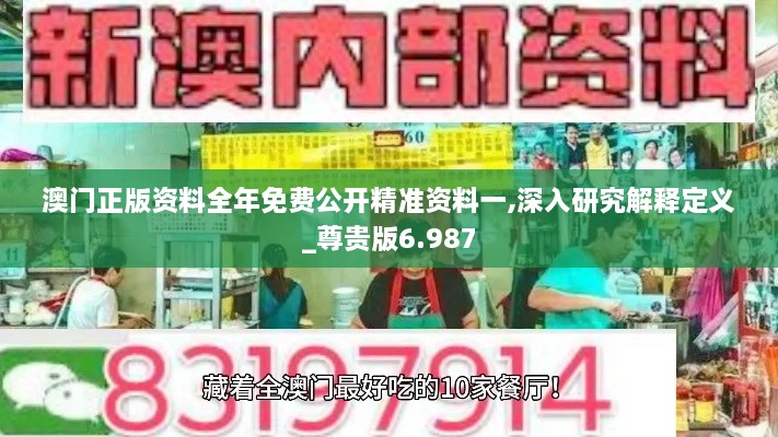 澳門正版資料全年免費公開精準(zhǔn)資料一,深入研究解釋定義_尊貴版6.987