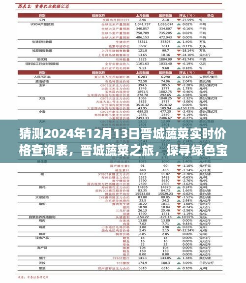 晉城蔬菜價格預(yù)測與綠色寶藏探尋之旅，心靈之旅啟程于2024年12月13日