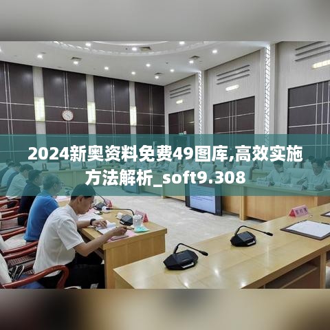 2024新奧資料免費49圖庫,高效實施方法解析_soft9.308