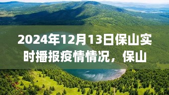 保山疫情實(shí)時(shí)播報(bào)與美景之旅，心靈避風(fēng)港，啟程尋找內(nèi)心寧靜與奇跡之旅（XXXX年XX月XX日）