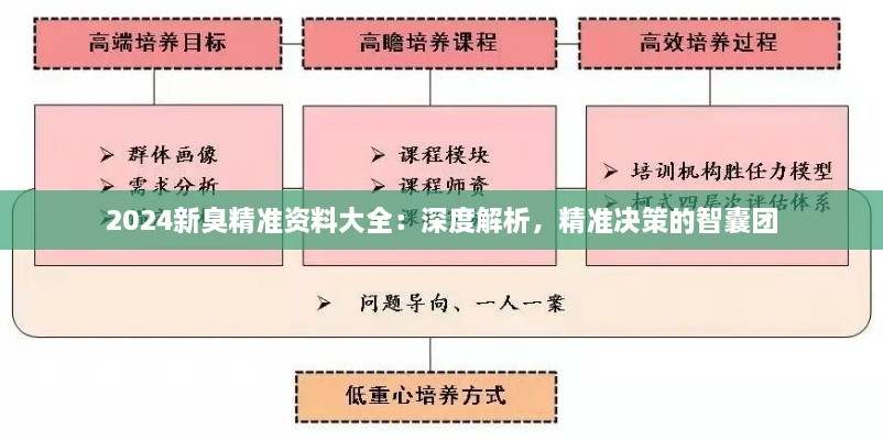 2024新臭精準(zhǔn)資料大全：深度解析，精準(zhǔn)決策的智囊團(tuán)