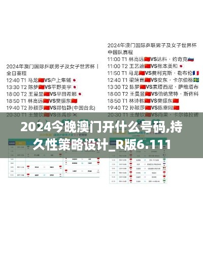 2024今晚澳門開什么號碼,持久性策略設計_R版6.111