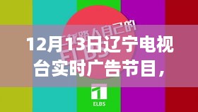 遼寧電視臺揭秘最新高科技產品，重塑未來生活體驗直播秀