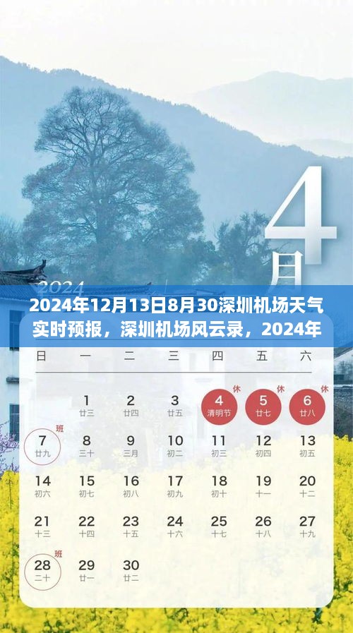 深圳機場天氣預報紀實，風云變幻下的航班動態(tài)與影響