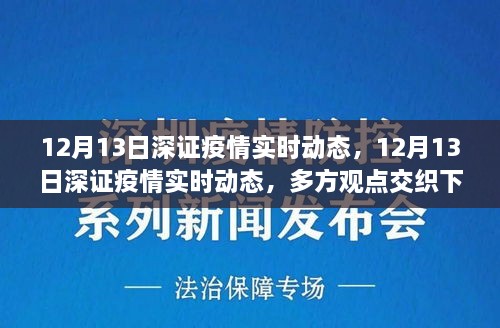 多方觀點(diǎn)交織下的洞察與反思，12月13日深證疫情實(shí)時(shí)動(dòng)態(tài)分析