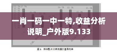 一肖一碼一中一特,收益分析說明_戶外版9.133