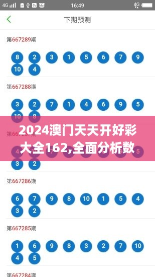 2024澳門(mén)天天開(kāi)好彩大全162,全面分析數(shù)據(jù)執(zhí)行_DX版14.628