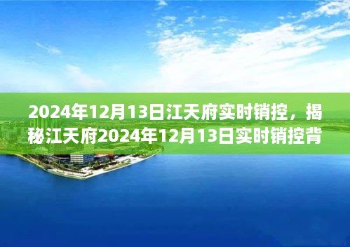 揭秘江天府實(shí)時(shí)銷控背后的秘密，深度解析2024年12月13日數(shù)據(jù)動(dòng)態(tài)與趨勢(shì)分析