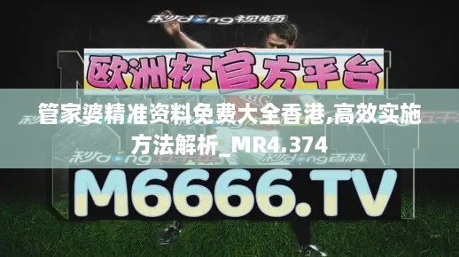 管家婆精準資料免費大全香港,高效實施方法解析_MR4.374