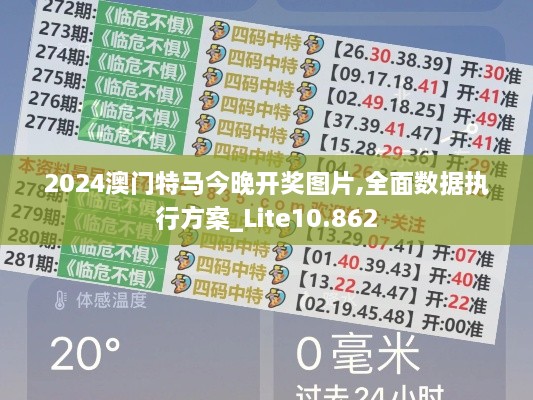 2024澳門特馬今晚開獎圖片,全面數(shù)據(jù)執(zhí)行方案_Lite10.862