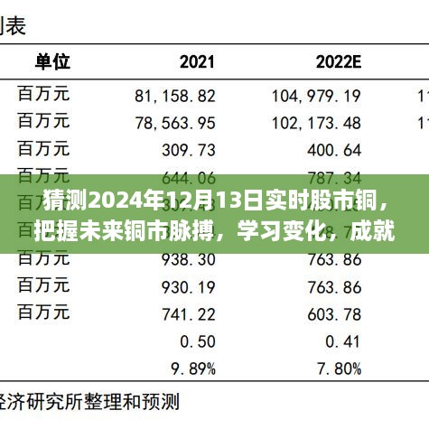 揭秘2024年12月13日股市銅市走向，洞悉變化成就投資夢(mèng)想