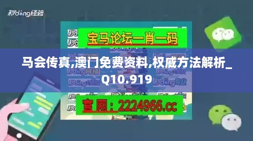 馬會傳真,澳門免費資料,權(quán)威方法解析_Q10.919