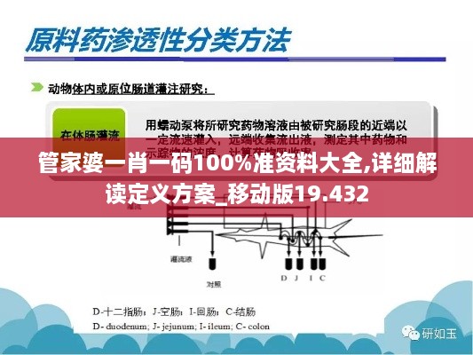 管家婆一肖一碼100%準資料大全,詳細解讀定義方案_移動版19.432