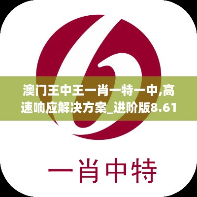 澳門王中王一肖一特一中,高速響應(yīng)解決方案_進(jìn)階版8.613