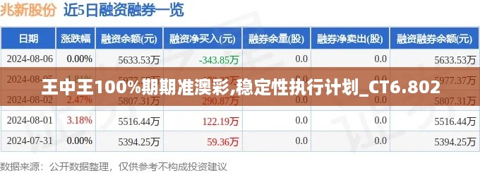 王中王100%期期準(zhǔn)澳彩,穩(wěn)定性執(zhí)行計(jì)劃_CT6.802